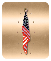 DF35-550-BZ Flag at Rest Bronze